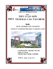 Đề tài Phân tích báo cáo tài chính công ty TNHH thương mại và dịch vụ sapa