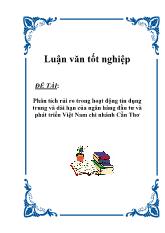 Đề tài Phân tích rủi ro trong hoạt động tín dụng trung và dài hạn của ngân hàng đầu tư và phát triển Việt Nam chi nhánh Cần Thơ