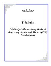Đề tài Quỹ đầu tư chứng khoán và thực trạng của các quỹ đầu tư tại Việt Nam hiện nay