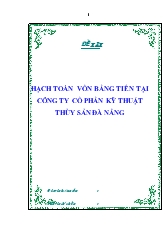 Hạch toán vốn bằng tiền tại công ty cổ phần kỹ thuật thủy sản Đà Nẵng