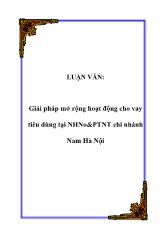 Luận văn Giải pháp mở rộng hoạt động cho vay tiêu dùng ở ngân hàng nông nghiệp và phát triển nông thôn chi nhánh Nam Hà Nội