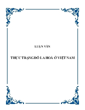 Luận văn Thực trạng đô la hoá ở Việt Nam