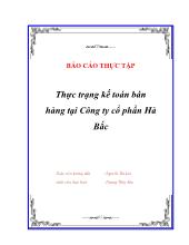 Thực trạng kếtoán bán hàng tại Công ty cổ phần Hà Bắc