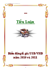 Tiểu luận Biến động tỉ giá USD/VND năm 2010 và 2011