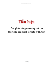 Tiểu luận Giải pháp nâng cao năng suất lao động của các doanh nghiệp Việt Nam