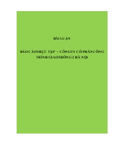 Tình hinhg hoạt động của công ty cổ phần công trình giao thông 2 Hà Nội