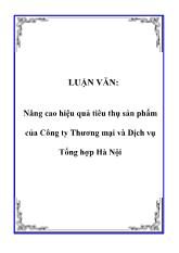 Luận văn Nâng cao hiệu quả tiêu thụ sản phẩm của Công ty Thương mại và Dịch vụ Tổng hợp Hà Nội