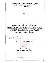 Tạo dòng tế bào nầm men Saccharomyces cerevisiae biểu hiện gen mã hóa enzym anpha - Amylase trên bề mặt tế bào