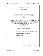 Đề tài Giải pháp phát triển sản phẩm dịch vụ tại ngân hàng nông nghiệp và phát triển nông thôn Lào Cai chi nhánh Cam Dường