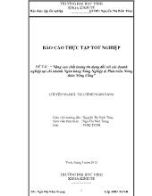 Đề tài Nâng cao chất lượng tín dụng đối với các doanh nghiệp tại chi nhánh ngân hàng nông nghiệp và phát triển nông thôn nông cống