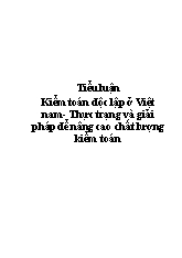 Tiểu luận Kiểm toán độc lập ở Việt nam - Thực trạng và giải pháp để nâng cao chất lượng kiểm toán