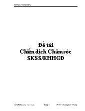 Đề tài Chiến dịch Chăm sóc sức khỏe sinh sản và kế hoạch hóa gia đình