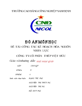 Đề tài Công tác kế hoạch hóa nguồn nhân lực công ty cổ phần thép Việt Đức