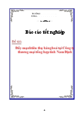 Đề tài Đẩy mạnh tiêu thụ hàng hoá tại Công ty thương mại tổng hợp tỉnh Nam Định