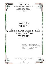 Đề tài Quản lý kinh doanh điện thoại di động TN Fone
