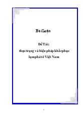Đề tài Thực trạng và biện pháp khắc phục lạm phát tại Việt Nam
