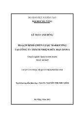 Hoạch định chiến lược marketing tại công ty trách nhiệm hữu hạn Dawa
