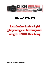 Lợi nhuận và một số giải pháp nâng cao lợi nhuận tại công ty TNHH Cửu Long
