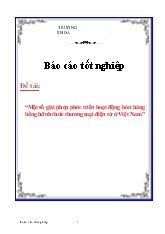 Luận văn Một số giải phỏp phỏt triển hoạt động bỏn hàng bằng hình thức thương mại điện tử ở Việt Nam
