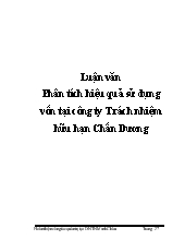 Luận văn Phân tích hiệu quả sử dụng vốn tại công ty Trách nhiệm hữu hạn Chấn Dương