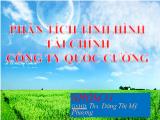Phân tích tình hình tài chính công ty quốc cường