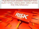 Rủi ro của doanh nghiệp khi xuất khẩu hàng may mặc sang thị trường EU