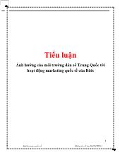 Tiểu luận Ảnh hưởng của môi trường dân số Trung Quốc tới hoạt động marketing quốc tế của Bitis