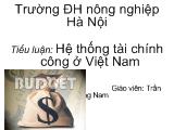 Tiểu luận Hệ thống tài chính công ở Việt Nam