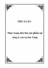 Tiểu luận Thực trạng tiêu thụ sản phẩm tại công ty cao su Sao Vàng