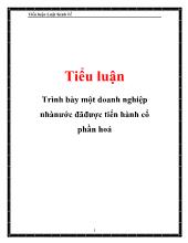 Tiểu luận Trình bày một doanh nghiệp nhà nước đã được tiến hành cổ phần hoá