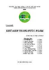 Chuyên đề Khử asen trong nước ngầm