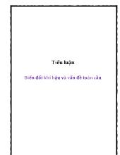 Tiểu luận Biến đổi khí hậu và vấn đề toàn cầu
