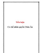 Tiểu luận Cơ chế nhân quyền Châu Âu