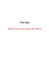Tiểu luận Quan hệ với các nước trong tổ chức ASEAN