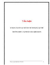 Tiểu luận Sử dụng nguồn lực đòn bẩy để mở rộng lợi thế - Trường hợp 1: Tập đoàn dầu khí exxon