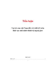 Tiểu luận Vai trò của Việt Nam đối với asean trên lĩnh vực anh ninh - Chính trị - Ngoại giao
