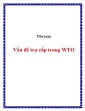 Tiểu luận Vấn đề trợ cấp trong WTO