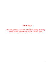 Tiểu luận Việt Nam gia nhập ASEAN và Chiến lược tập hợp lực lượng ở Đông Nam Á của Việt Nam từ năm 1995 đến 2005