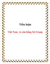 Tiểu luận Việt Nam và cân bằng Xô - Trung