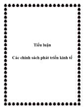 Tiểu luận Các chính sách phát triển kinh tế