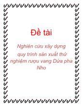 Đề tài Nghiên cứu xây dựng quy trình sản xuất thử nghiệm rượu vang Dứa pha Nho