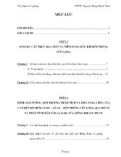 Đề tài Sơ lược cấu trúc địa chất và tiềm năng dầu khí bồn trũng Cửu Long