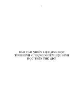 Đề tài Tình hình sử dụng nhiên liệu sinh học trên thế giới