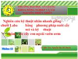 Nghiên cứu kỹ thuật nhân nhanh giống chuối Laba bằng phương pháp nuôi cấy mô và kỹ thuật chăm sóc cây con ngoài vườn ươm