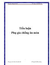 Tiểu luận Phụ gia chống ăn mòn