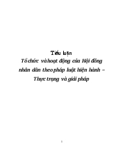 Tiểu luận Tổ chức và hoạt động của Hội đồng nhân dân theo pháp luật hiện hành – Thực trạng và giải pháp