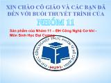 Những phát hiện mới về nguồn gốc của sự sống