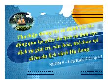 Thu thập thông tin và đánh giá tác động qua lại giữa du lịch và lĩnh vực dịch vụ giải trí, văn hóa, thể thao tại điểm du lịch vịnh Hạ Long