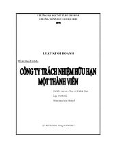 Thực trạng hoạt động tại Công ty trách nhiệm hữu hạn một thành viên
