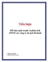 Tiểu luận Đối thủ cạnh tranh và phân tích SWOT các công ty du lịch lữ hành